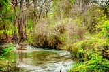 DSC_7097.jpg