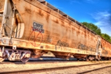 tran05.jpg